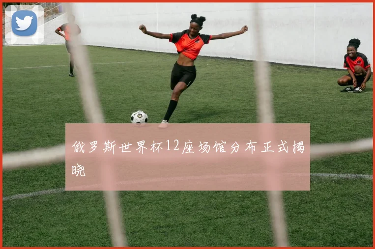 俄罗斯世界杯12座场馆分布正式揭晓